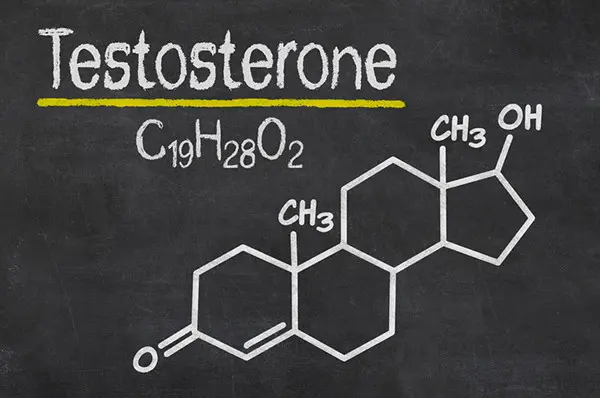 testo.steroidsites.db201